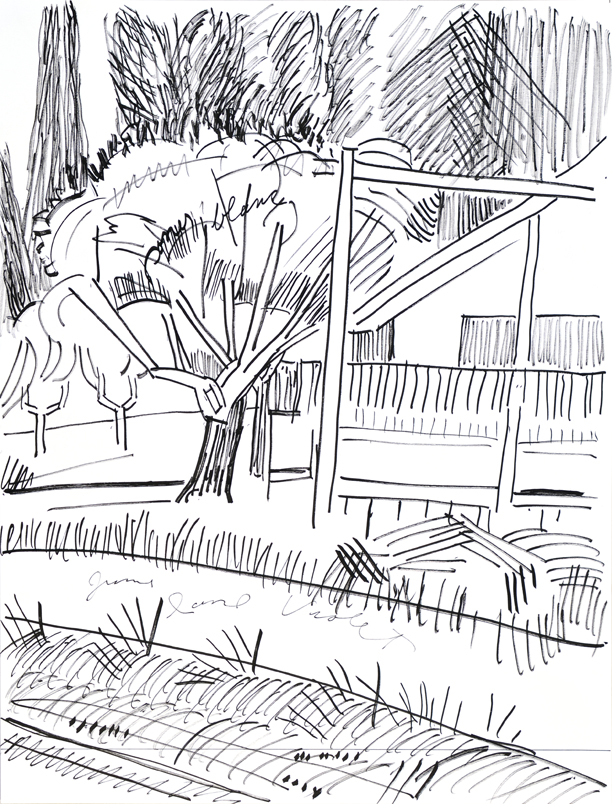 Vincent's Letter Drawing Left